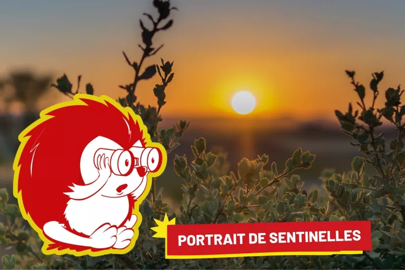 Illustration portrait Magalie