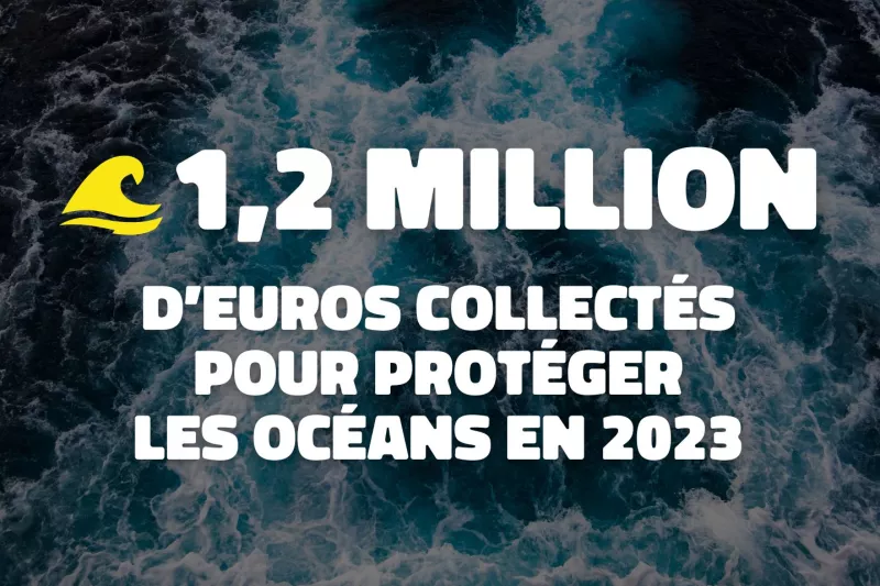 Plus de 1,2 million d'euros collectés pour protéger les océans en 2023