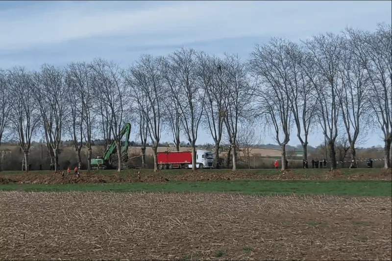 Coupe d'arbres pour le projet de l'A69 Toulouse-Castres