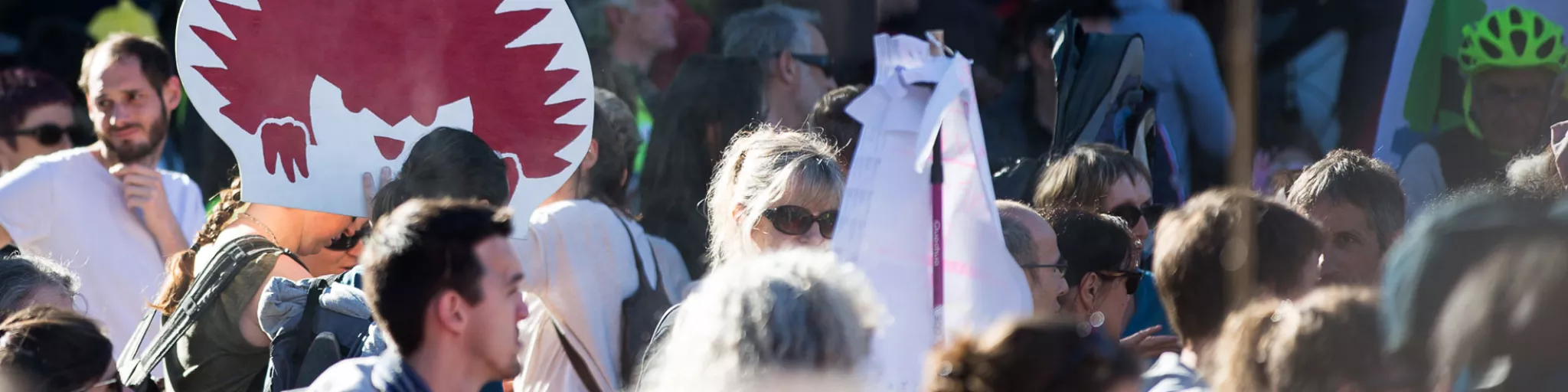 Manifestation Climat Annecy