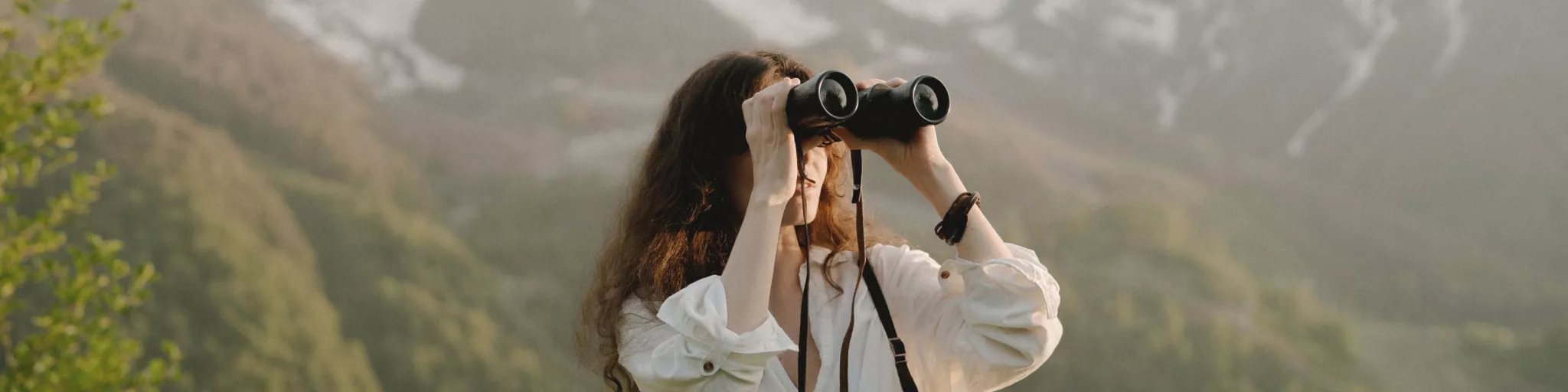 Image d'illustration