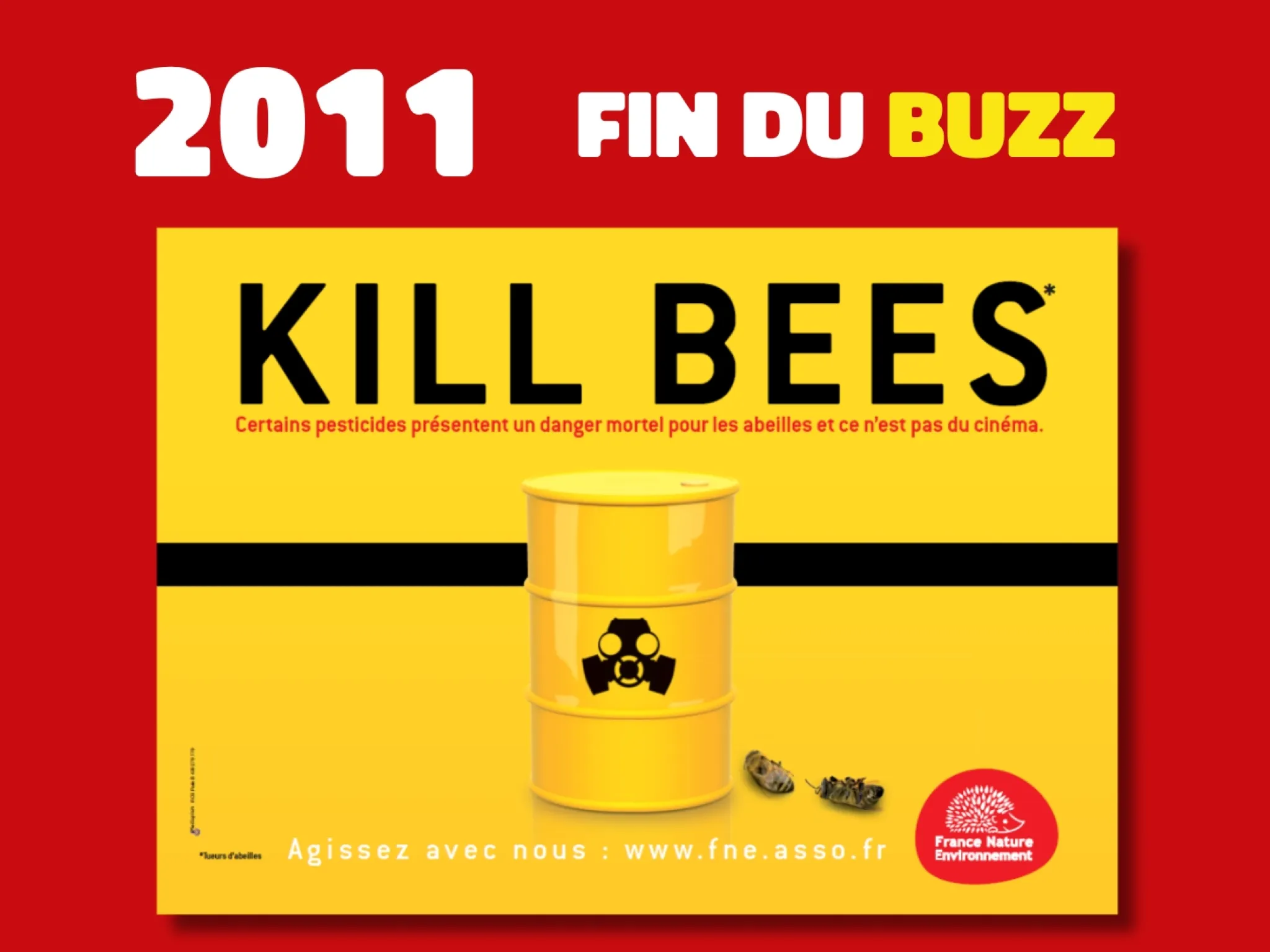 Aperçu de l'affiche "Fin du buzz - Kill bees"