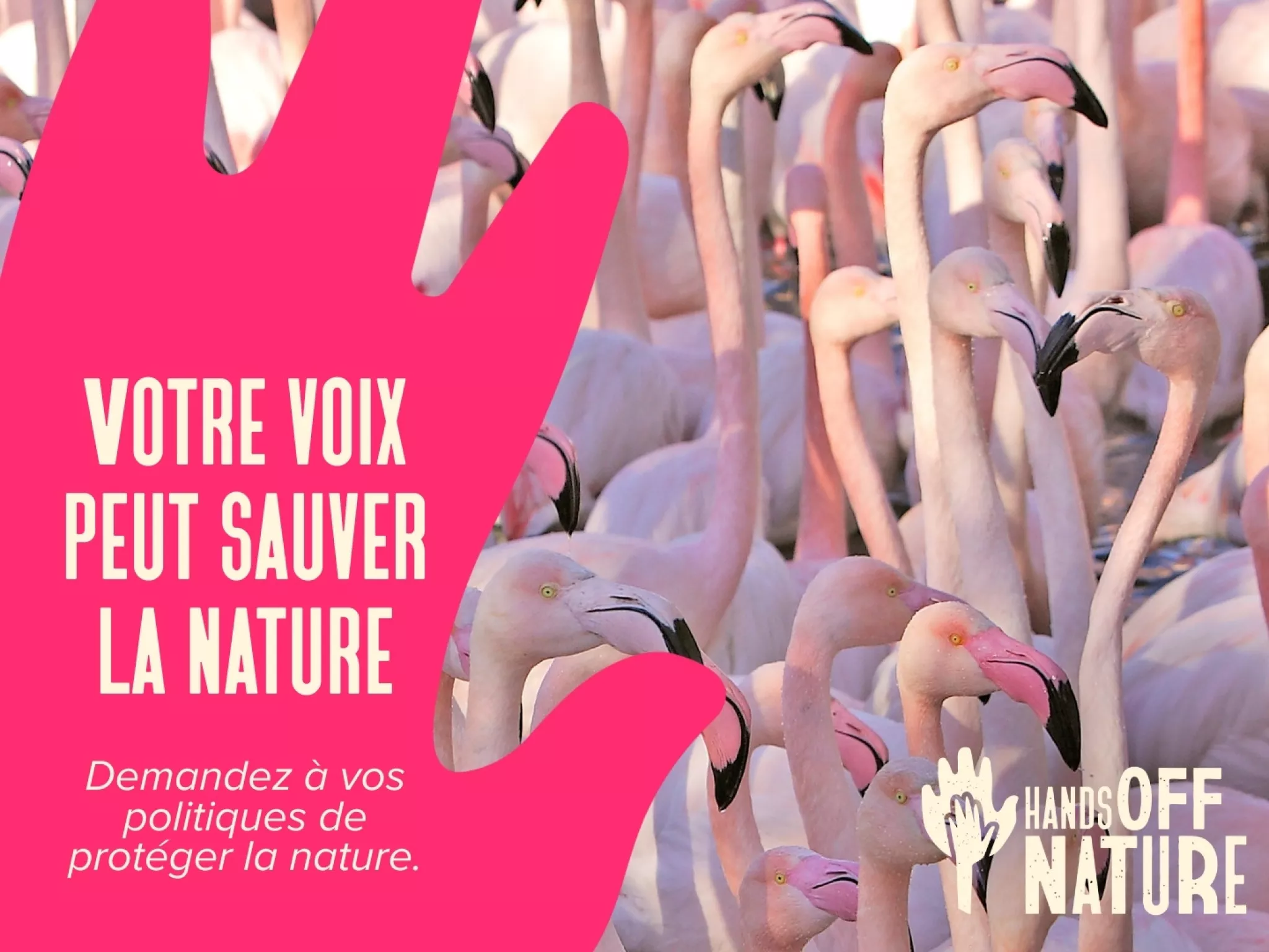 Votre voix peut sauver la nature - Demandez à vos politiques de protéger la nature