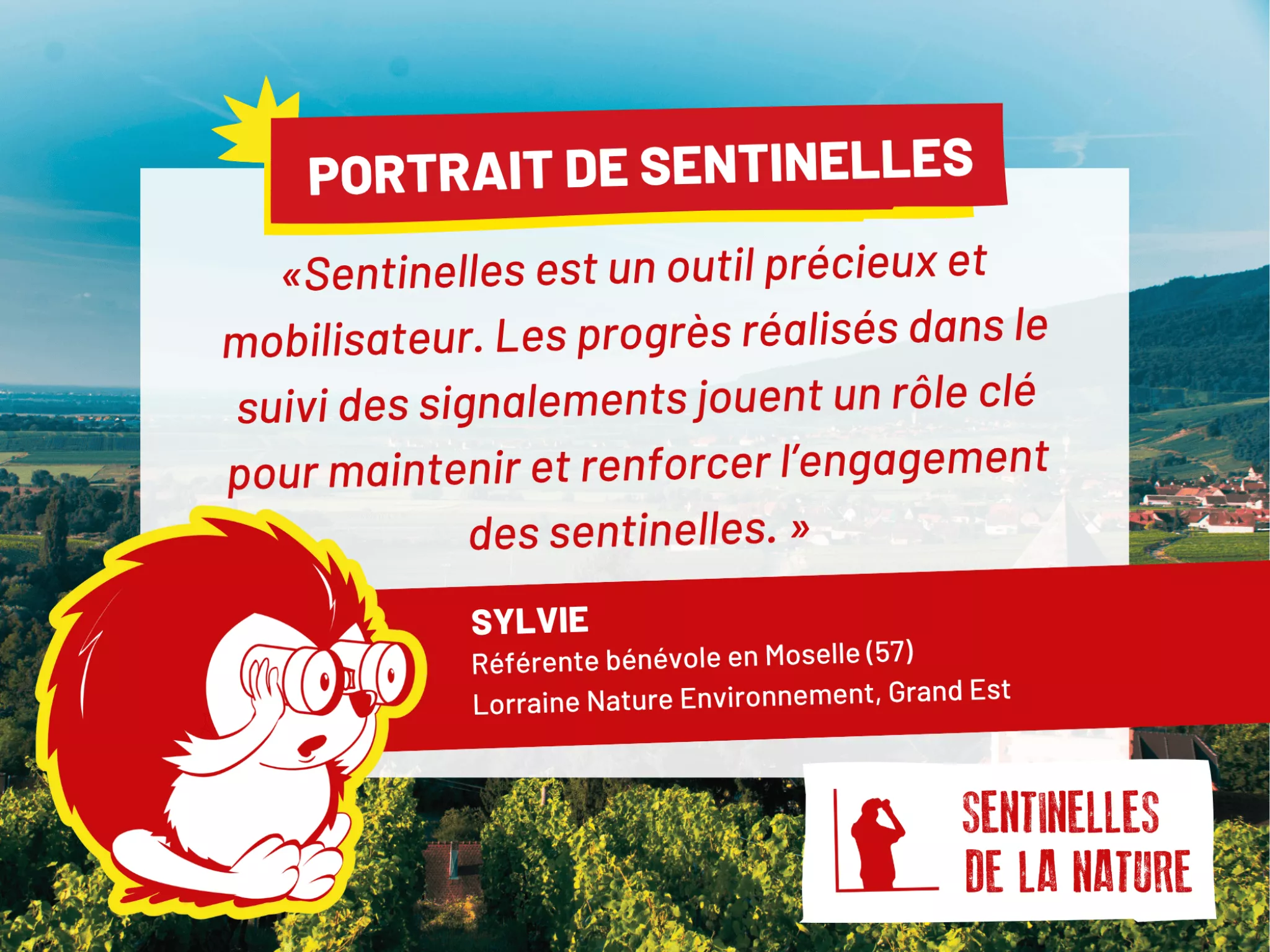 Image portrait de Sylvie