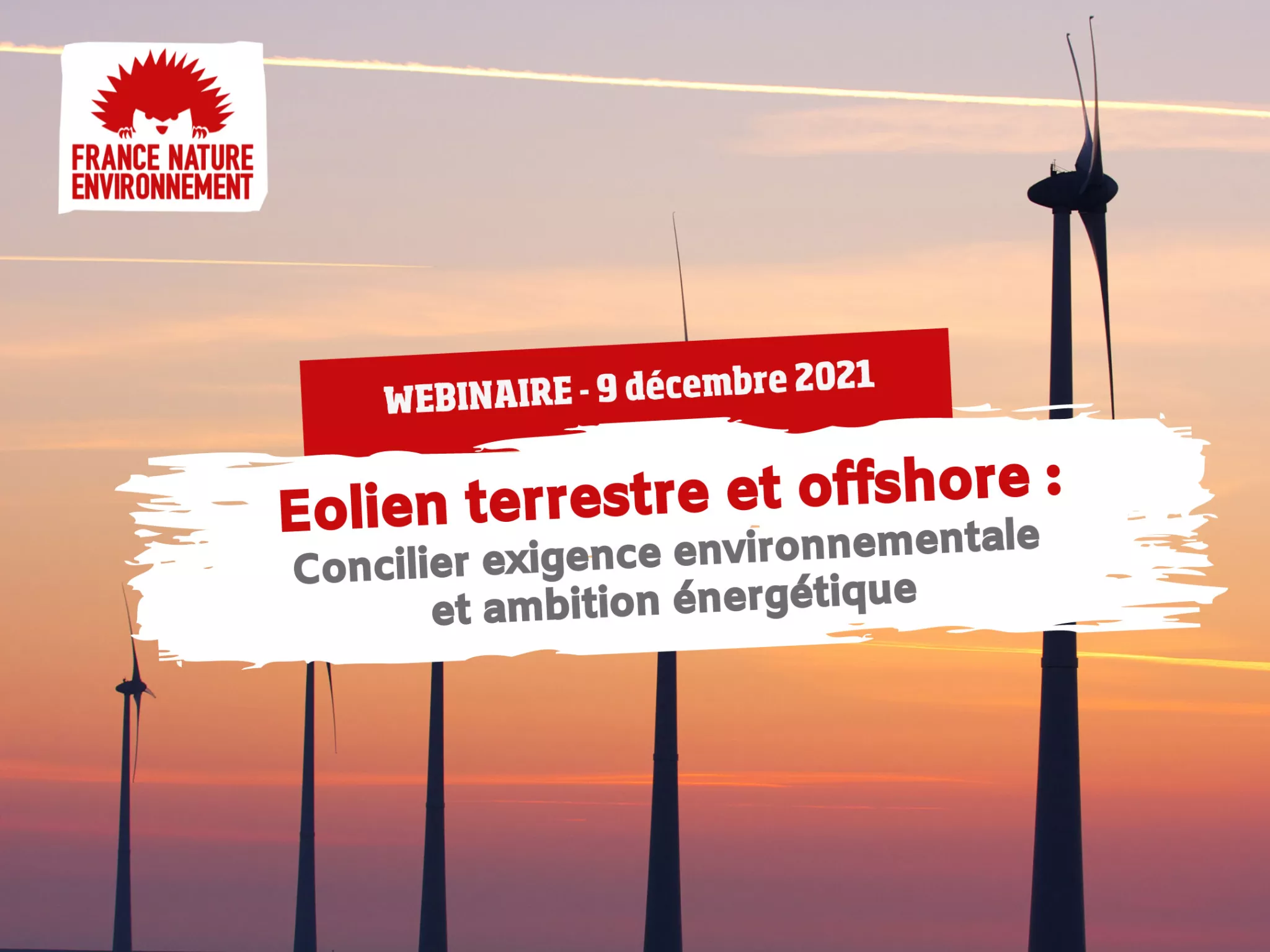 Eolien terrestre et offshore : concilier exigence environnementale et ambition énergétique