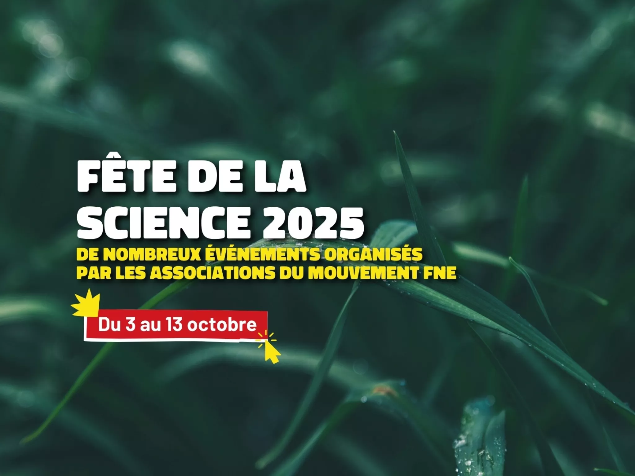 Image d'illustration