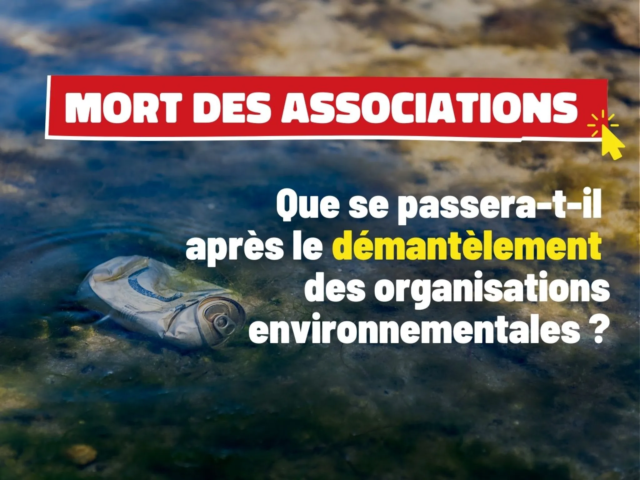 Image d'illustration