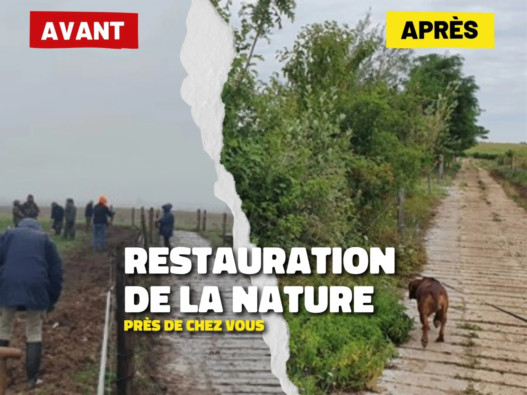 Exemples de restauration de la nature près de chez vous dans ce dossier