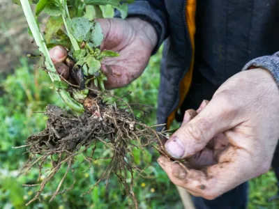 agriculture bio