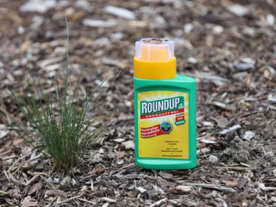 glyphosate