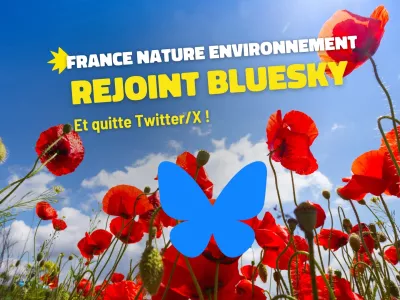 France Nature Environnement rejoint Bluesky et quitte Twitter/X