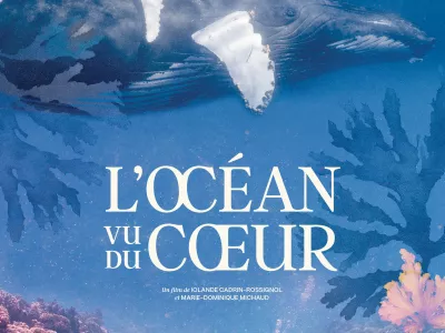 affiche du film L'océan vu du coeur