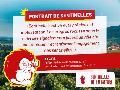 Image portrait de Sylvie