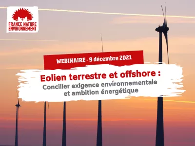 Eolien terrestre et offshore : concilier exigence environnementale et ambition énergétique