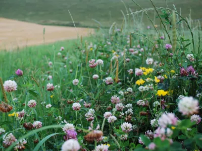 strategie nationale biodiversité 3