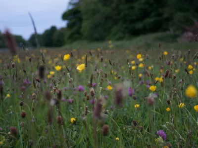 30 ans de la Directive Habitats-Faune-Flore, France Nature Environnement fait le bilan