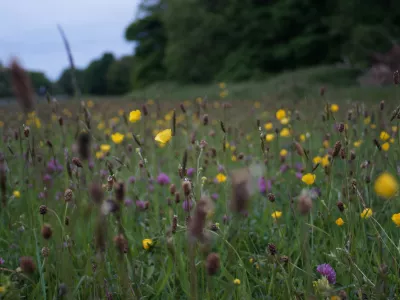 Nouvelle action en justice pour libérer les sites Natura 2000 des pesticides