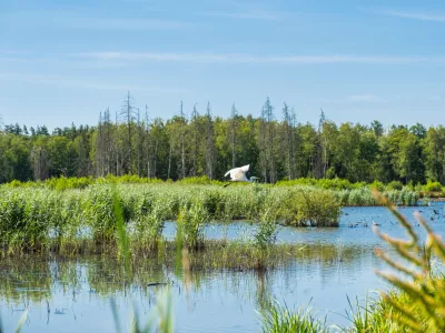 Stratégie nationale pour la biodiversité : un virage écologique à réussir