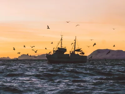 La France doit mieux faire pour la pêche durable