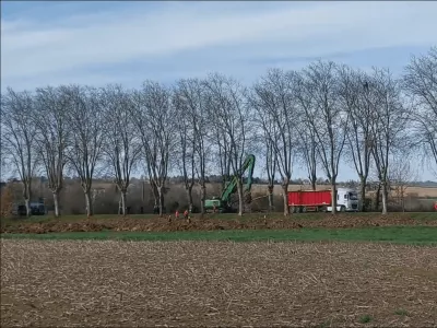 Coupe d'arbres pour le projet de l'A69 Toulouse-Castres