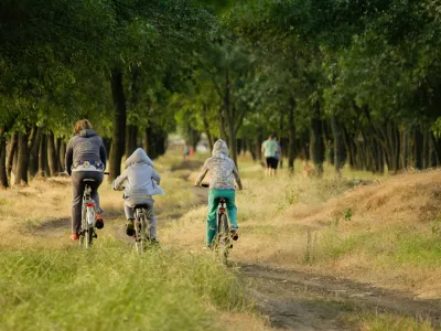 promenade en vélo dans la forêt