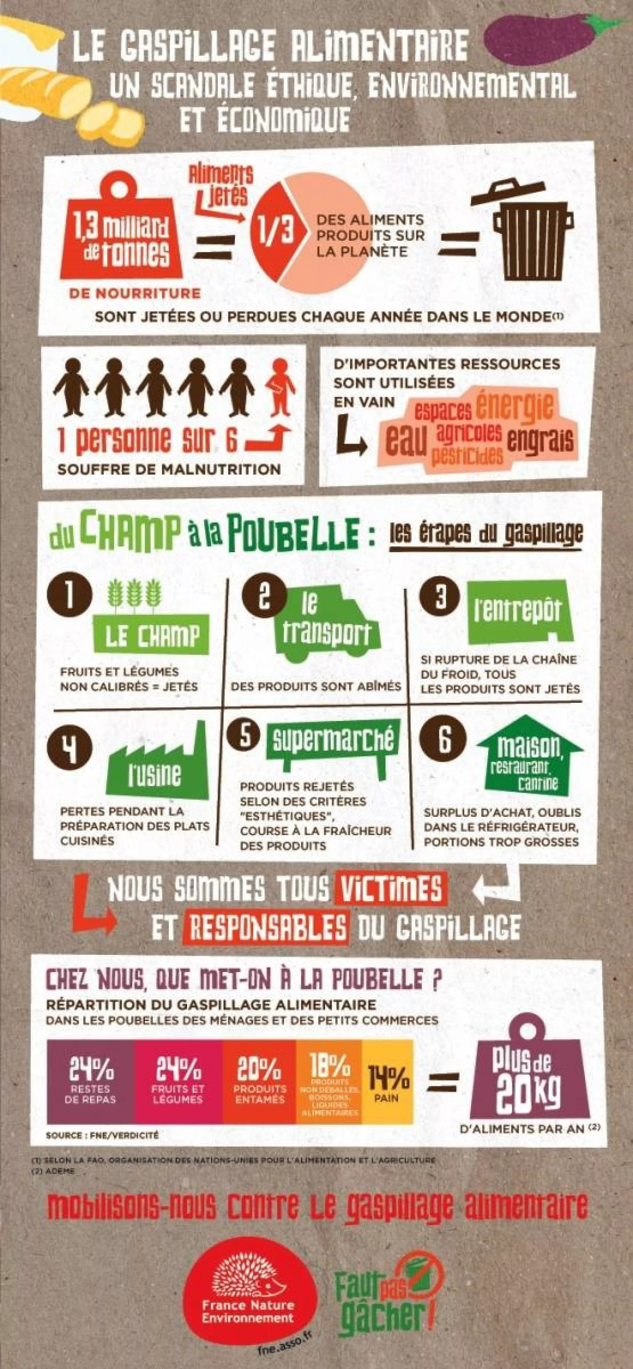infographie gaspillage alimentaire