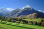 Paysage de vallée, vaches dans un pré et montagne en arrière plan