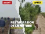 Exemples de restauration de la nature près de chez vous dans ce dossier