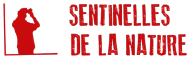 logo_sentinelles